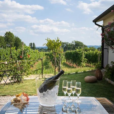 Le Vigne Del Gallo 파라디솔리고 외부 사진
